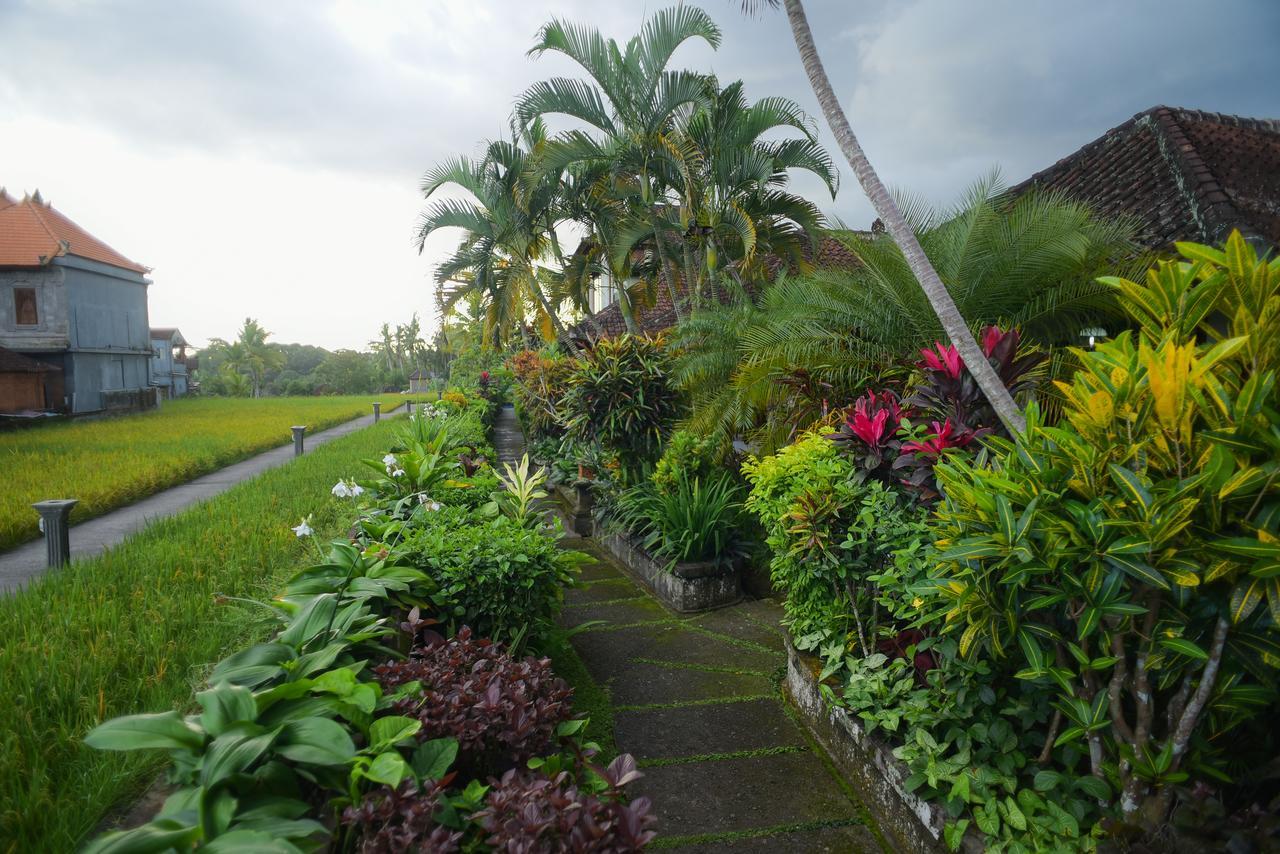 Ina Inn Ubud Extérieur photo